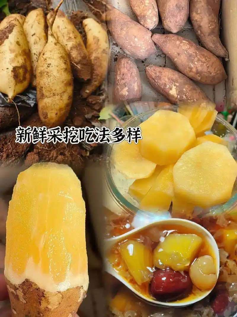 一件代发云南天山雪莲果黄心黄肉5斤带气柱