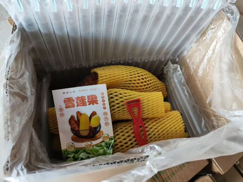 一件代发云南天山雪莲果黄心黄肉5斤带气柱