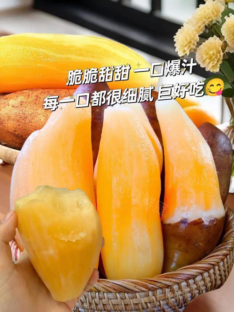 一件代发云南天山雪莲果黄心黄肉5斤带气柱