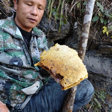 野生蜂蜜