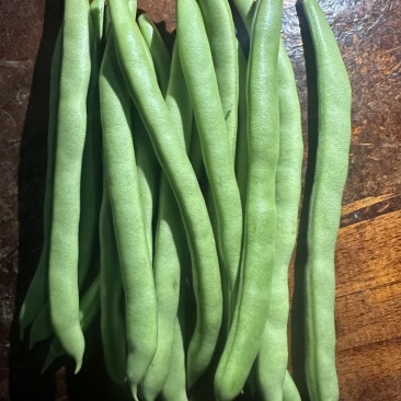 四季豆不限量供应，一件代发