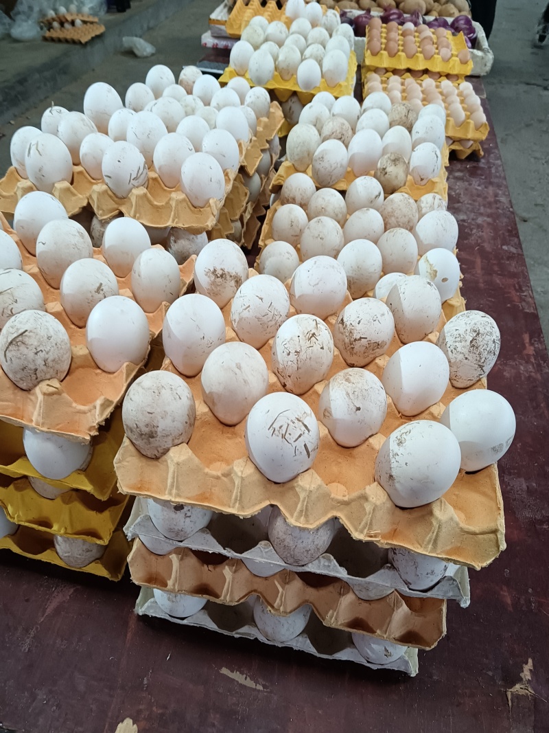 农村散养，吃粮食与青草，***绿色食品