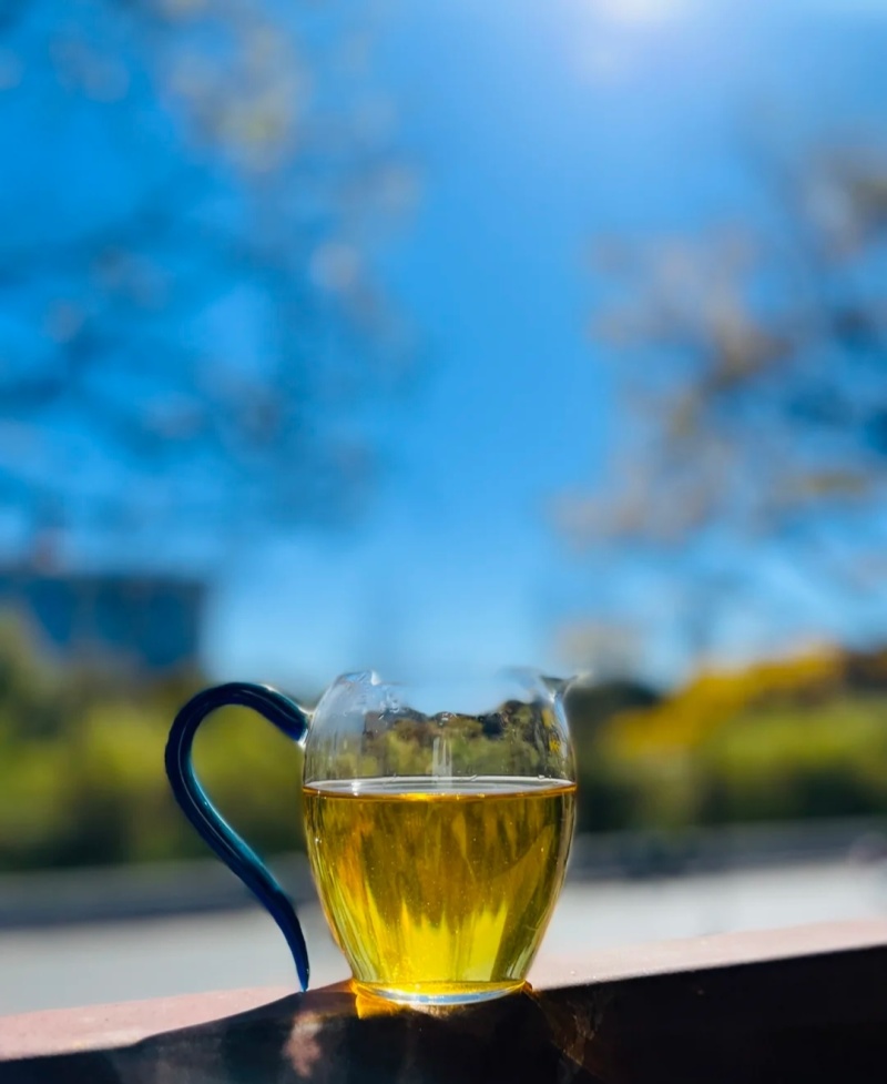 普洱茶-易武贡茶**镇