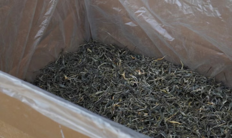 普洱茶-易武贡茶**镇