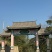 普洱茶-易武贡茶**镇