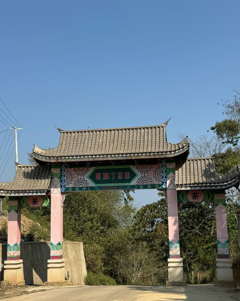 普洱茶-易武贡茶**镇