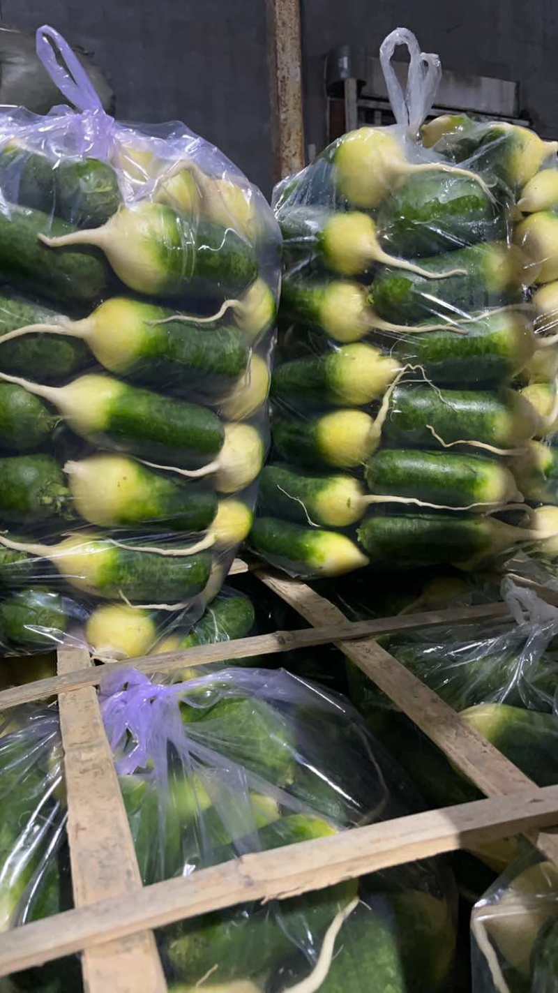 紫樱萝卜40斤手提袋规格6789两