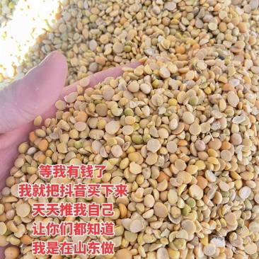碎黄豆批发上地施肥上地施肥豆上地施肥