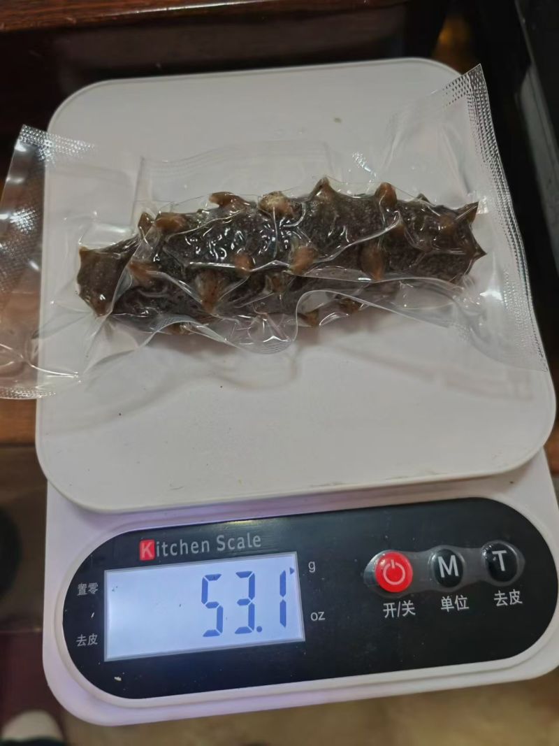 大连海参