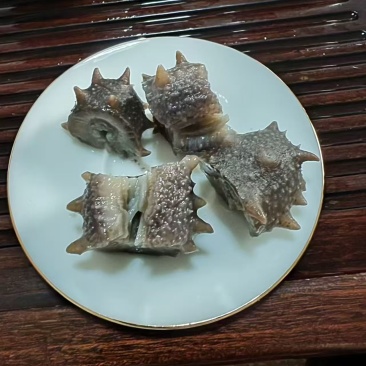 大连海参