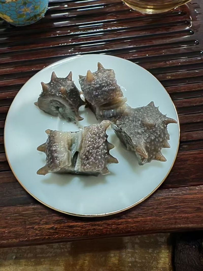 大连海参