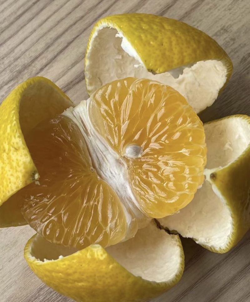 橘柚（甜心柚）