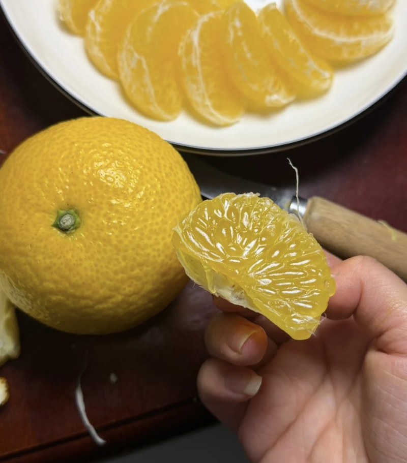 橘柚（甜心柚）
