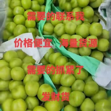 18克以上阳光玫瑰大牛眼