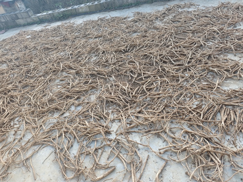 小统货