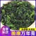 脱水菜芯万年青批发