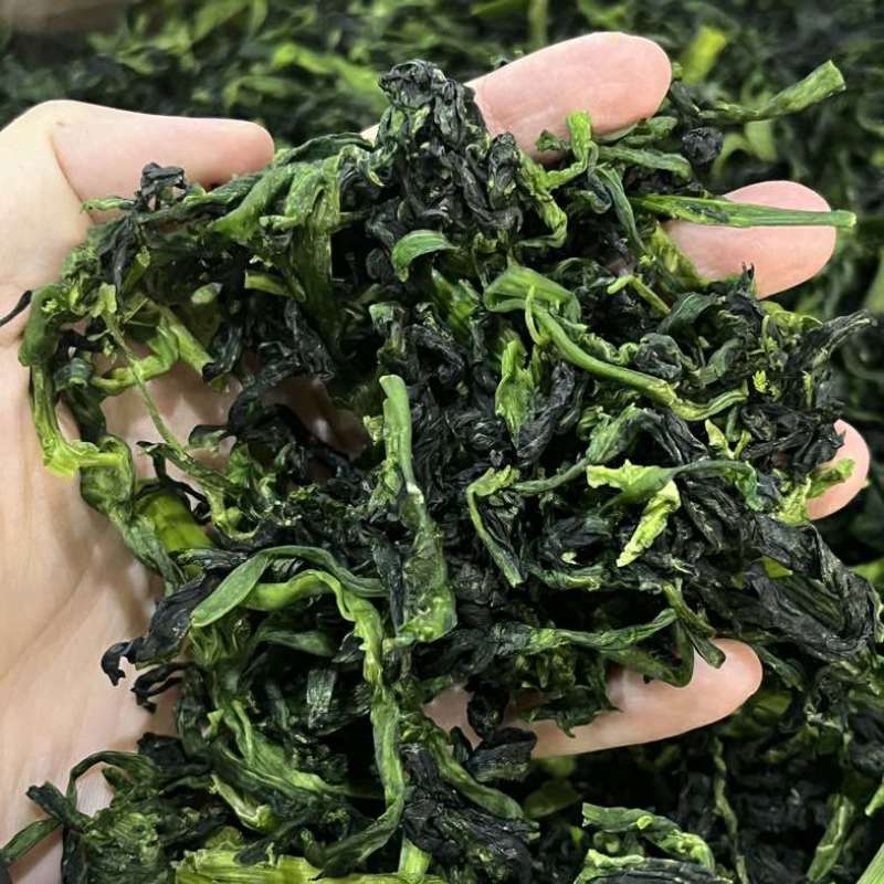 脱水菜芯万年青批发