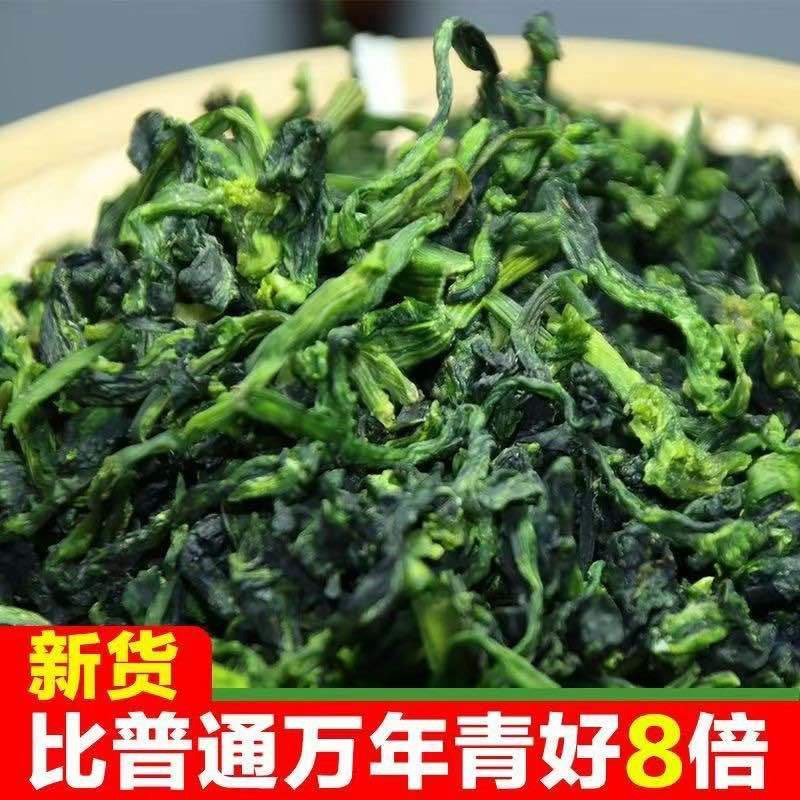 脱水菜芯万年青批发