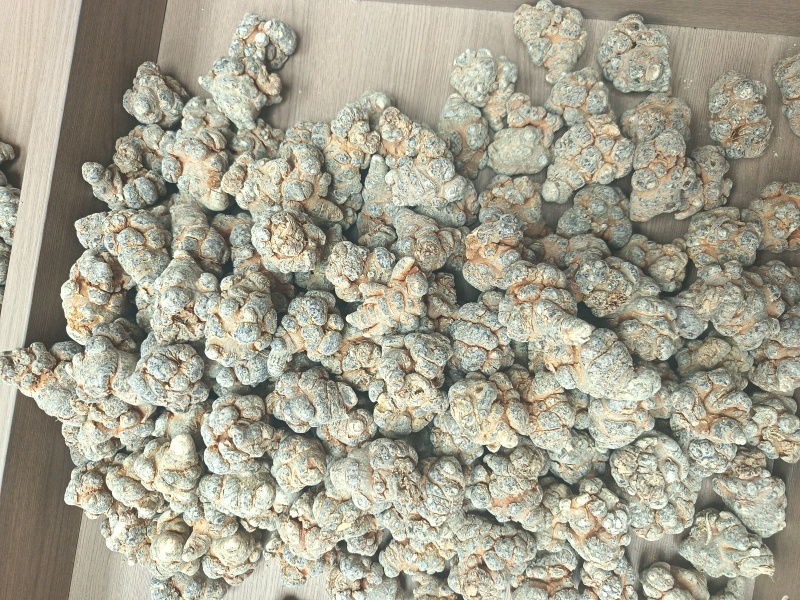 云南文山三七