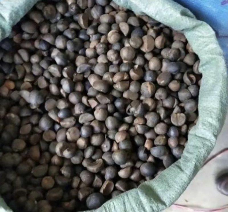 自己种的***土茶油，看着父母辛辛苦苦，劳动所得低价处理