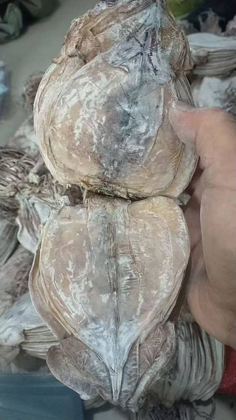 鱿鱼干水发鱿鱼干淡干鱿鱼干延边鱿鱼干