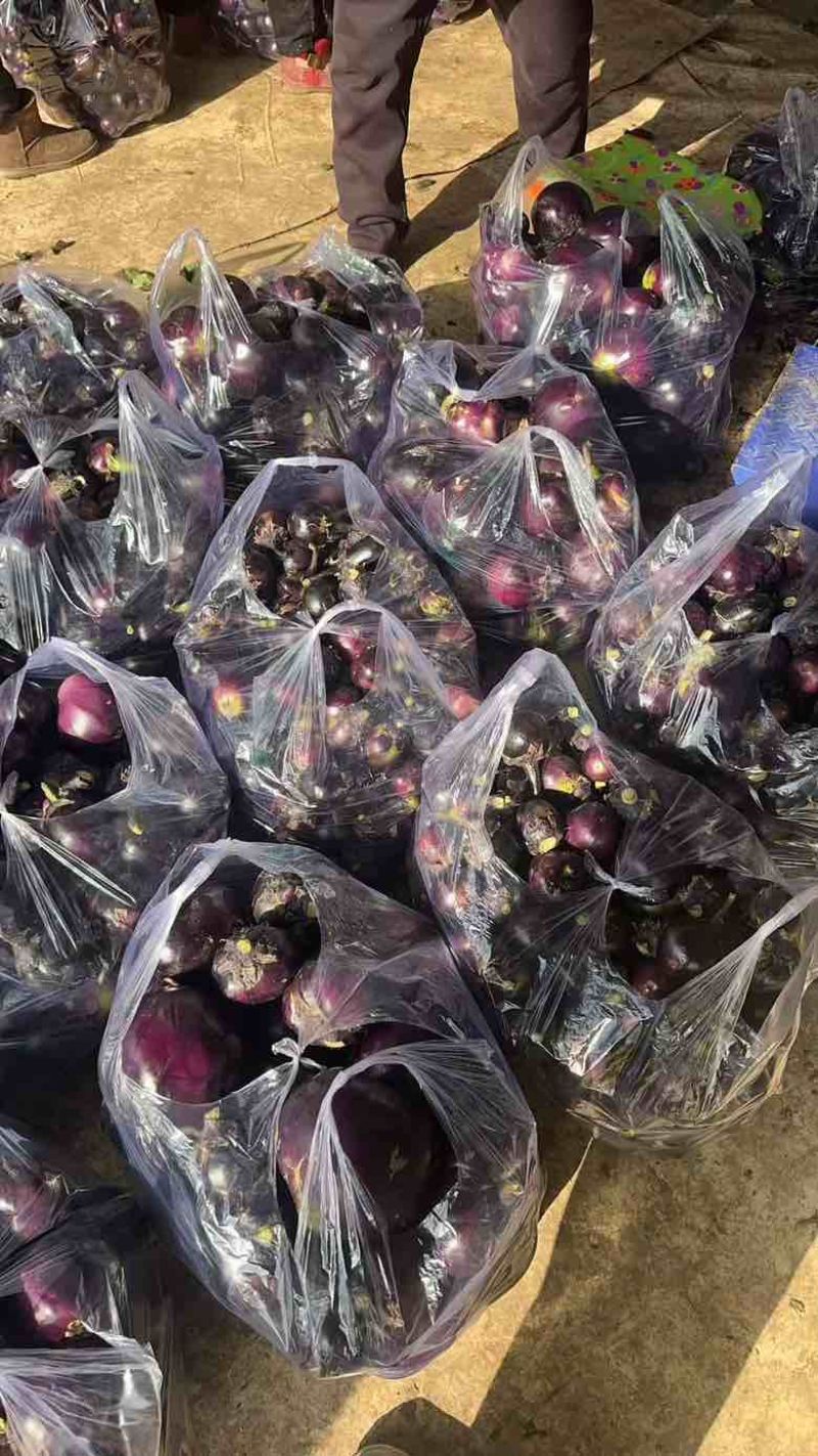 园茄食堂供应量大