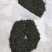 苏州东山碧螺春