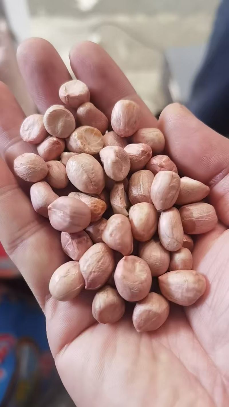 花生米白花花生鲁花生米海花生米油料米