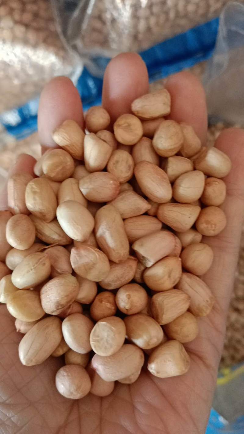 花生米白花花生鲁花生米海花生米油料米