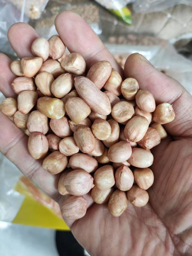 花生米白花花生鲁花生米海花生米油料米