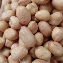 花生米白花花生鲁花生米海花生米油料米
