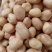 花生米白花花生鲁花生米海花生米油料米
