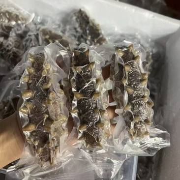 大参王