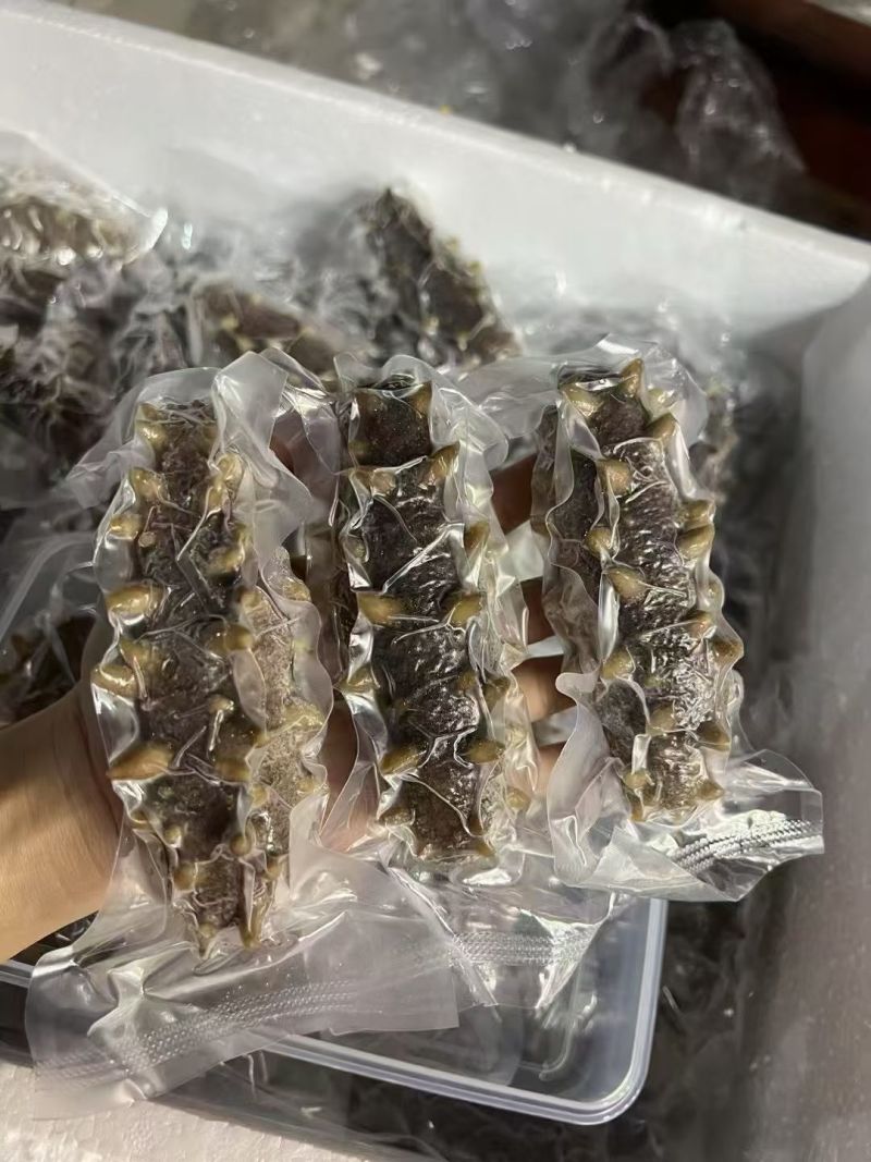 大参王