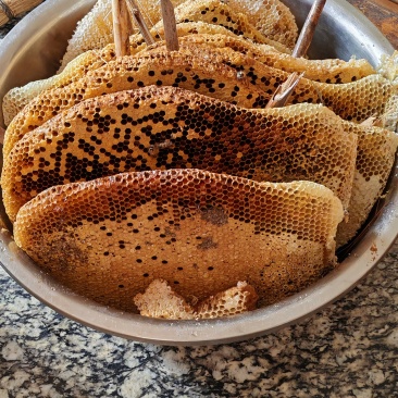 鸭脚蜜，野生蜂蜜