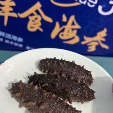 威海海参。90一包