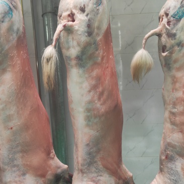 不肥不瘦肉质细腻可口有想法的老板你就来。