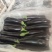 产地直销，茄子，布利塔长征3号。颜色黑亮。品质好