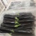 产地直销，茄子，布利塔长征3号。颜色黑亮。品质好