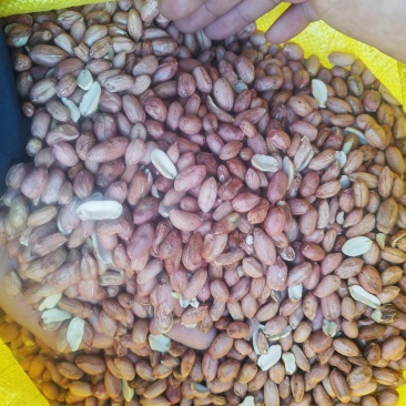 卖花生米油料