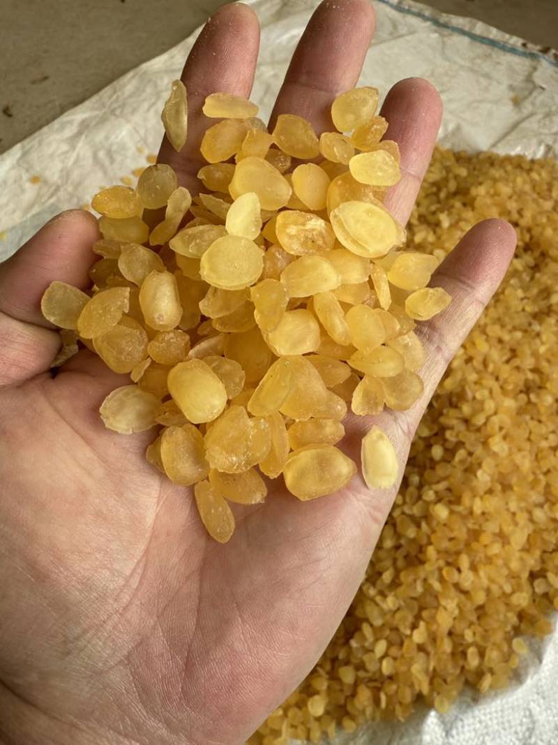 云南中大号双夹皂角米无硫微糖