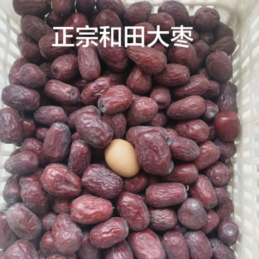 和田大枣一级枣