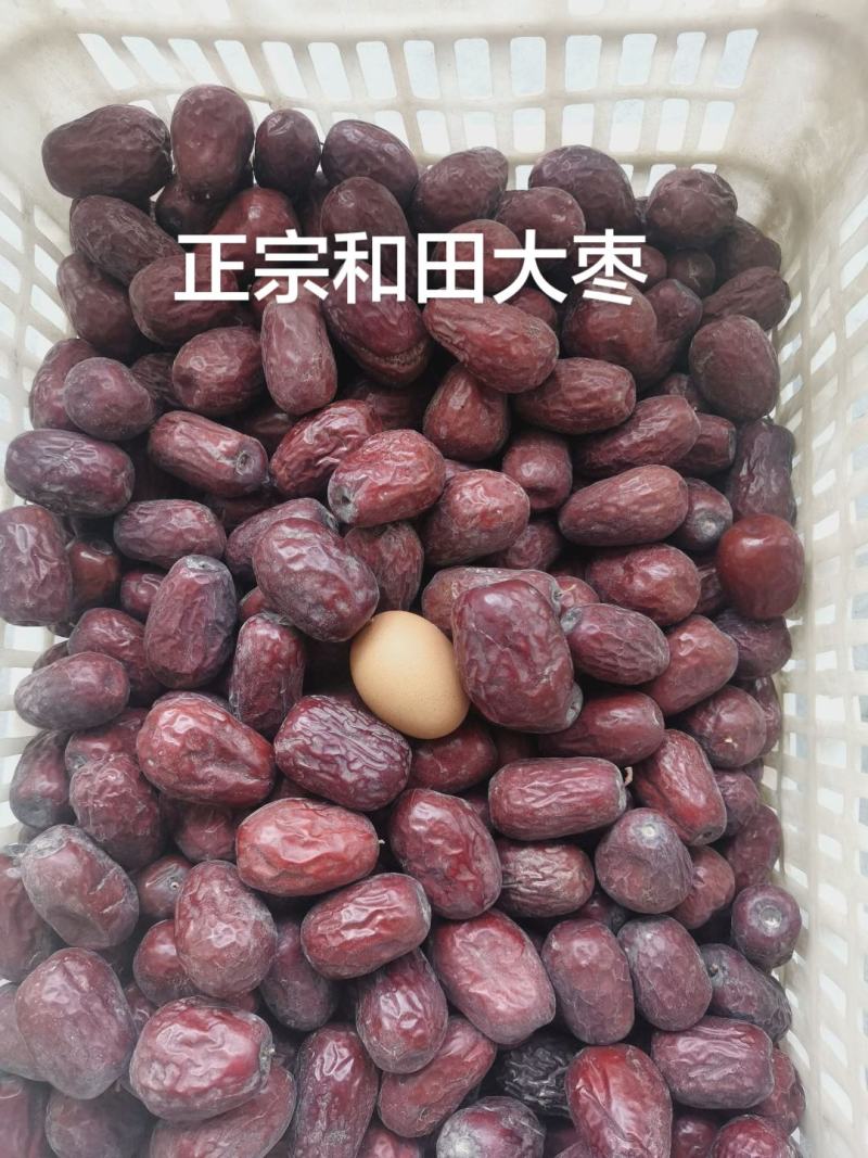和田大枣一级枣