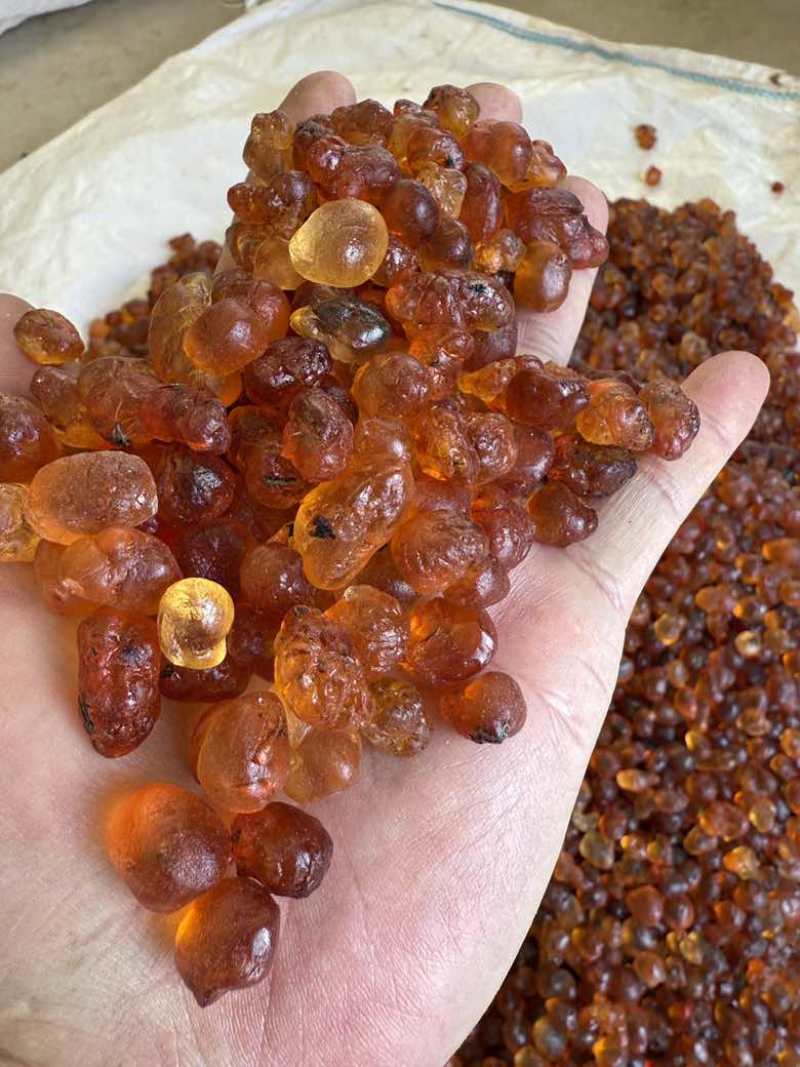 纯珍珠黄桃胶无硫精修1.2-1.5优质桃胶一手
