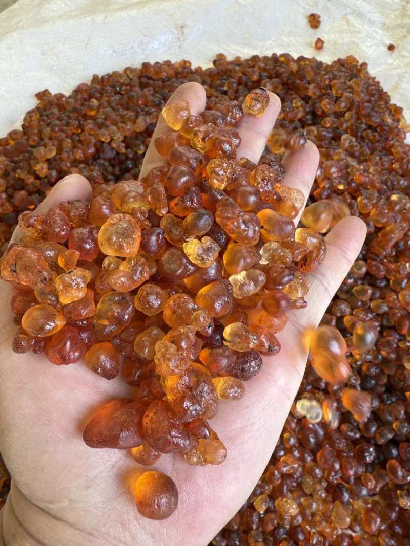 纯珍珠黄桃胶无硫精修1.2-1.5优质桃胶一手