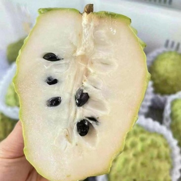 释迦果