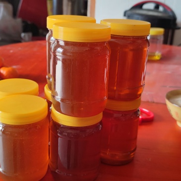 广西砂糖柑野生土蜂蜜山茶籽油