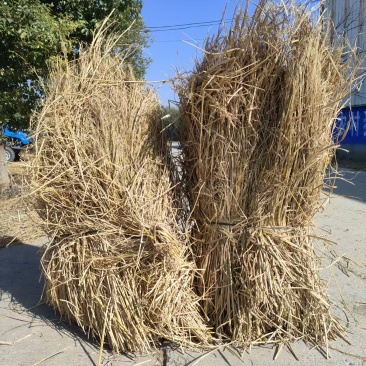 湖北稻草