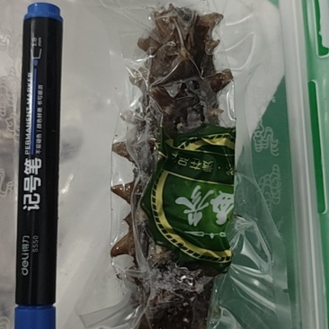 大参4-6头