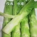 棒菜薄皮大棒棒菜新鲜蔬菜